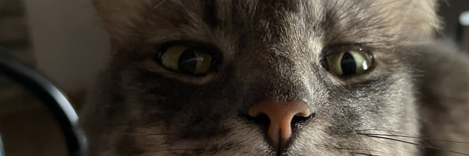 coty banner