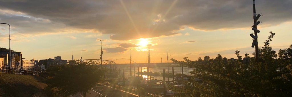 Alice Preston-Jones banner