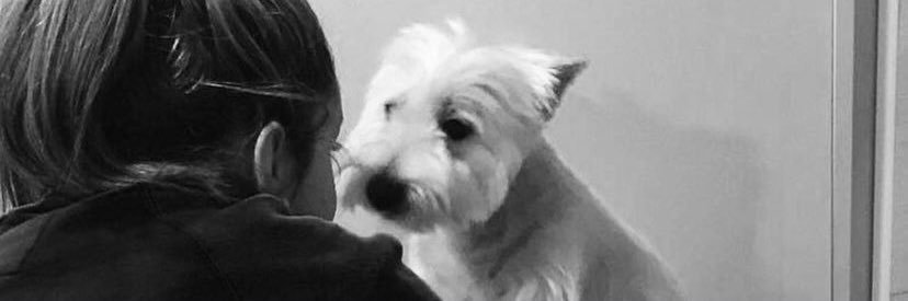AngelaMarzo110's profile banner image