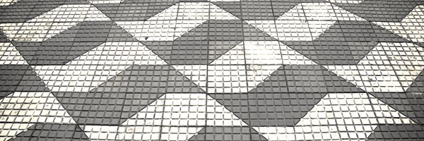 thesilvalab Profile Banner
