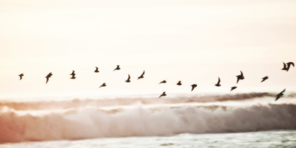 poossibility's profile banner image