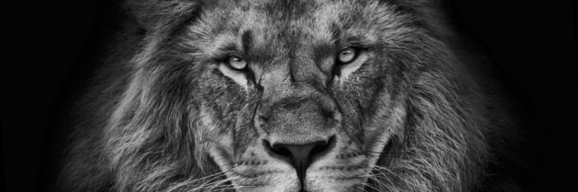 eivinnho's profile banner image