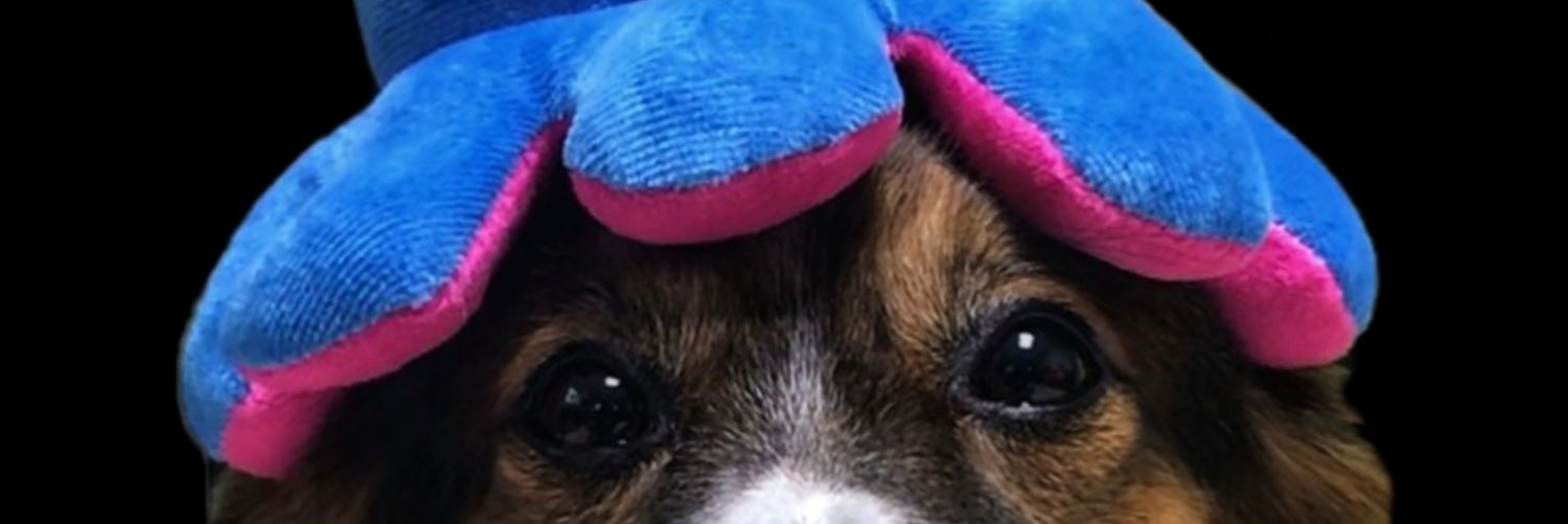 jjong__happy's profile banner image