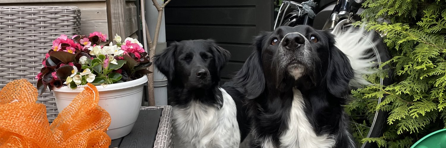 TedKonijn's profile banner image