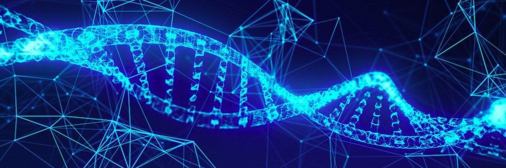 CryptoPhasotron's profile banner image