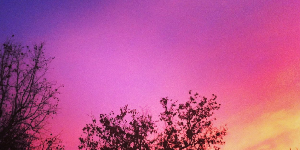 IlariaLet's profile banner image