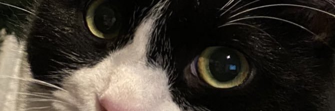 didivnr's profile banner image