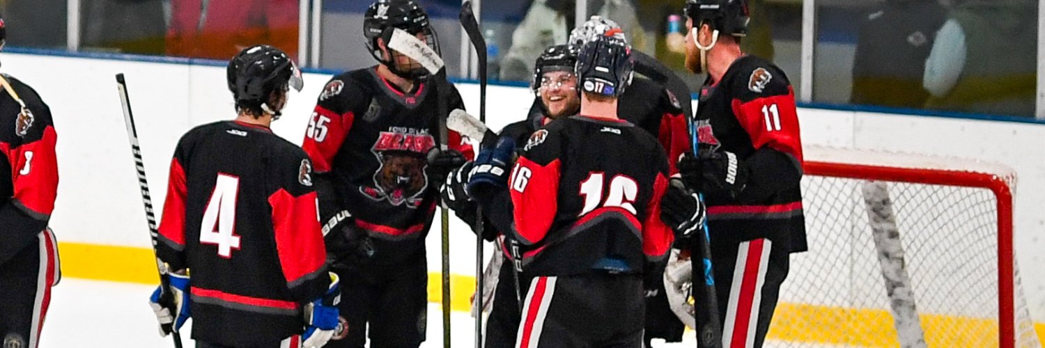 Fond du Lac Bears Hockey banner