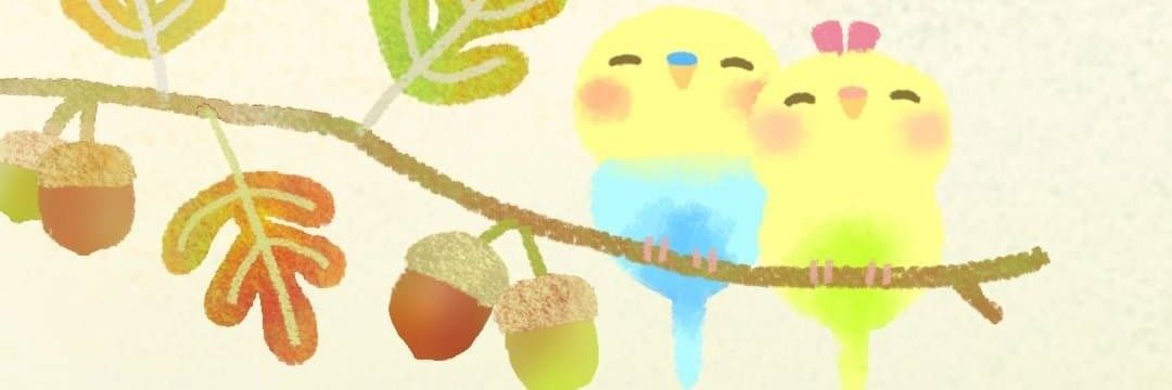 chu0321's profile banner image