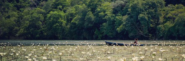 AnaLauraRS Profile Banner