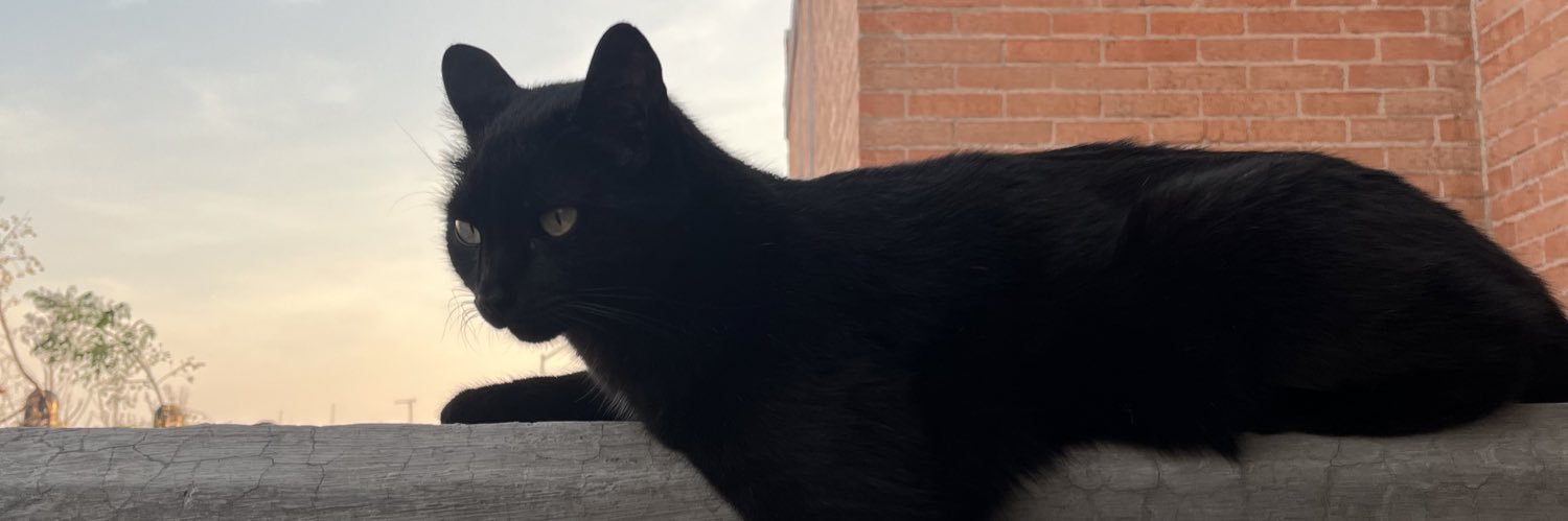 aschzzz's profile banner image