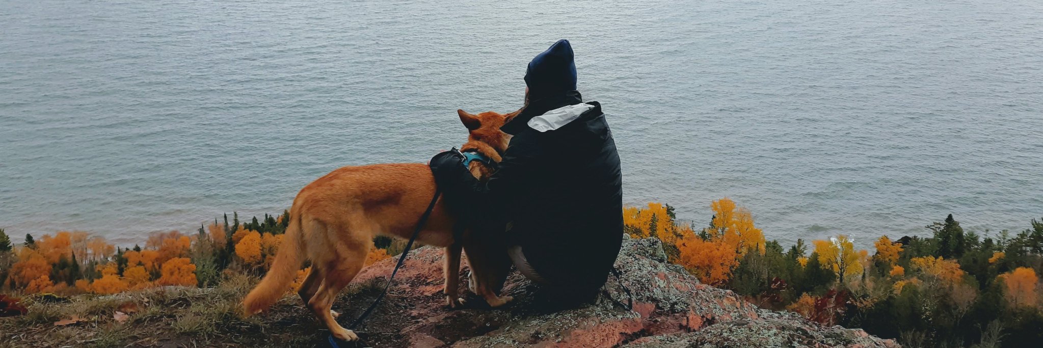 josephlozen's profile banner image