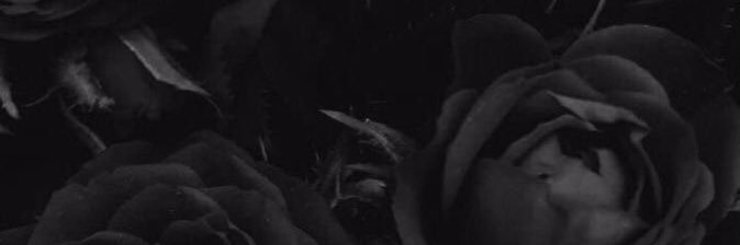 LizarraldeAzul's profile banner image