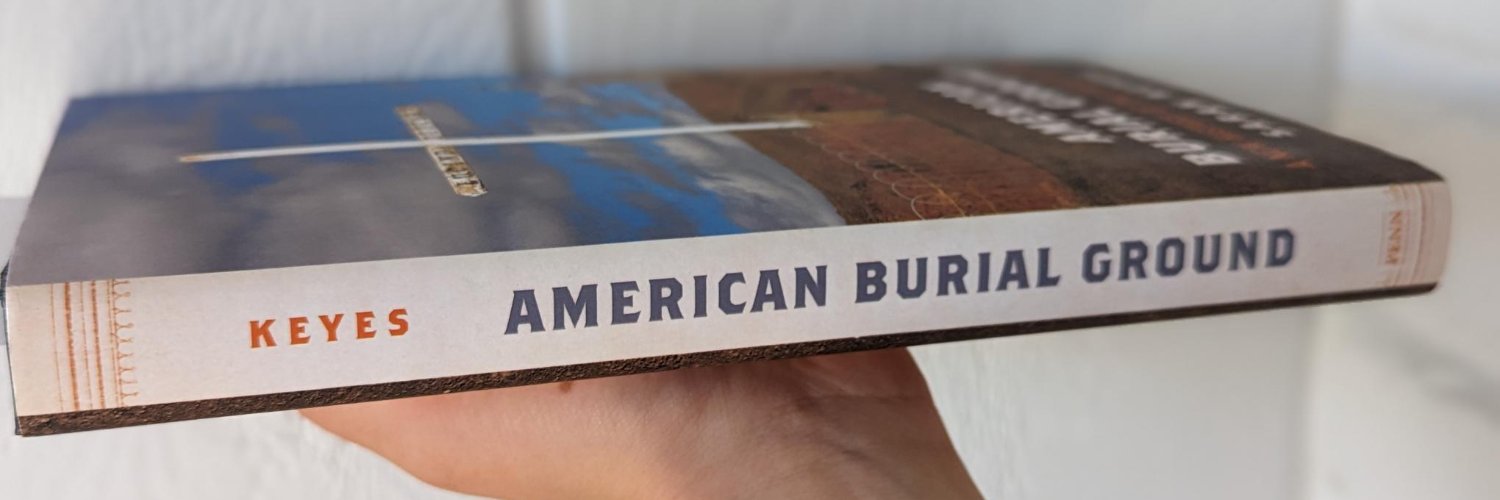 Sarah Keyes (@sarahkeyesphd.bsky.social) banner