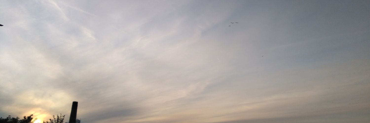 Miranda Braun banner