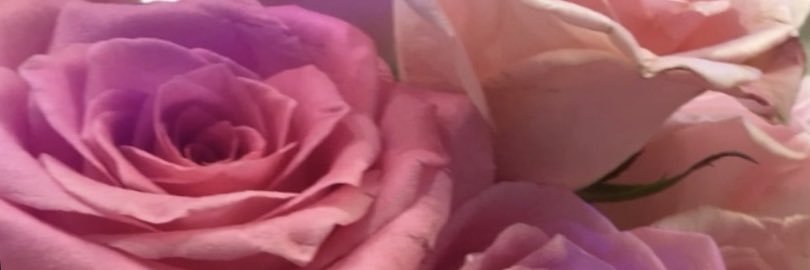 ✨ banner