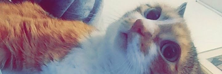 AndresRodrig922's profile banner image