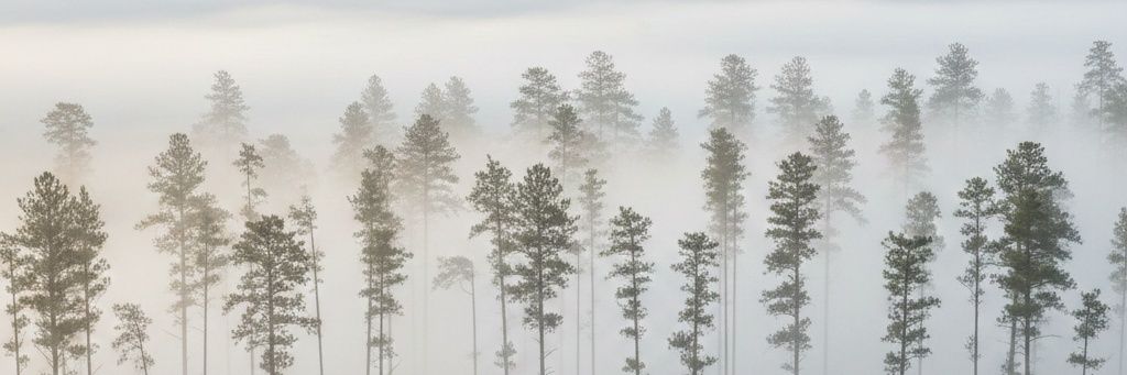 Shot_Of_Cabo's profile banner image