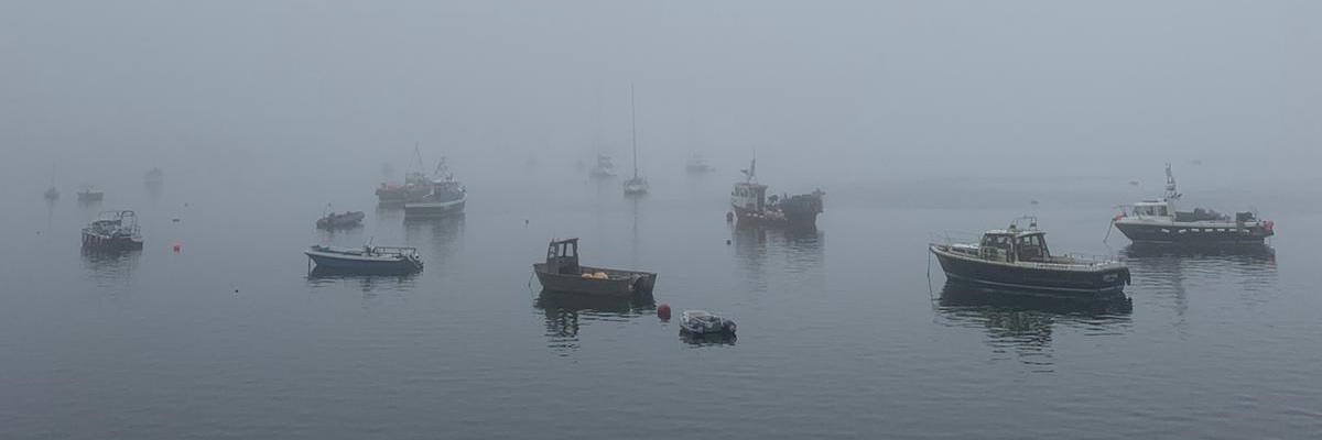 Susannah Fitzgerald banner