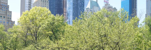 AliseLeiboff Profile Banner