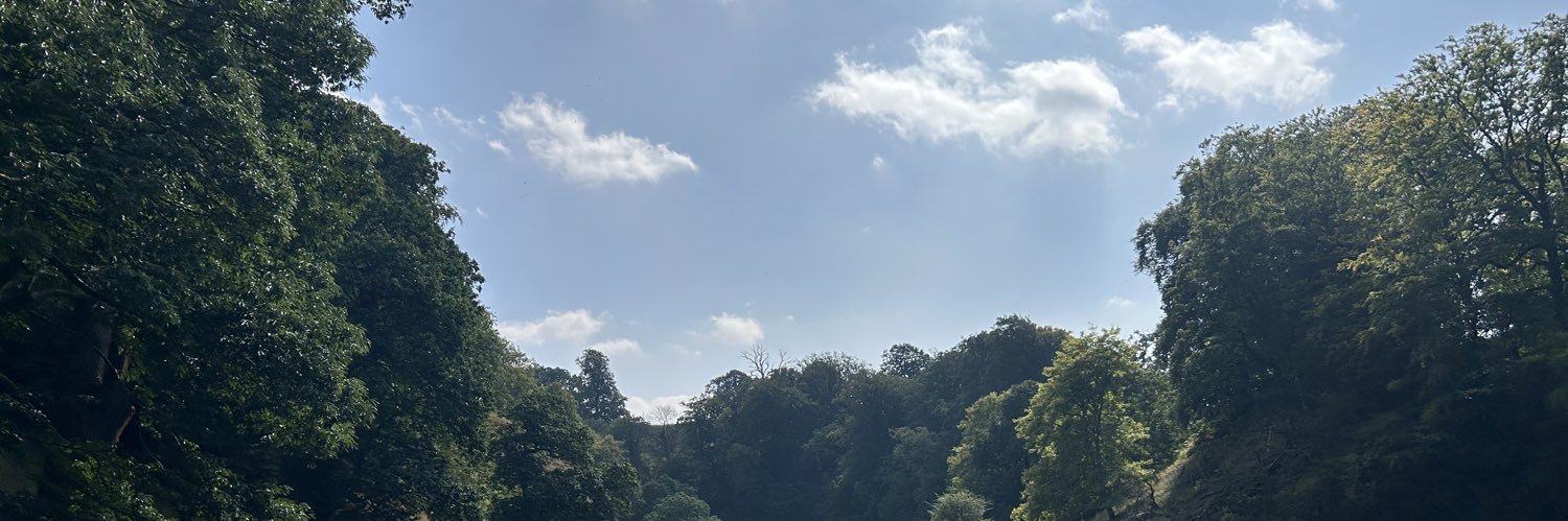 emma rock's banner