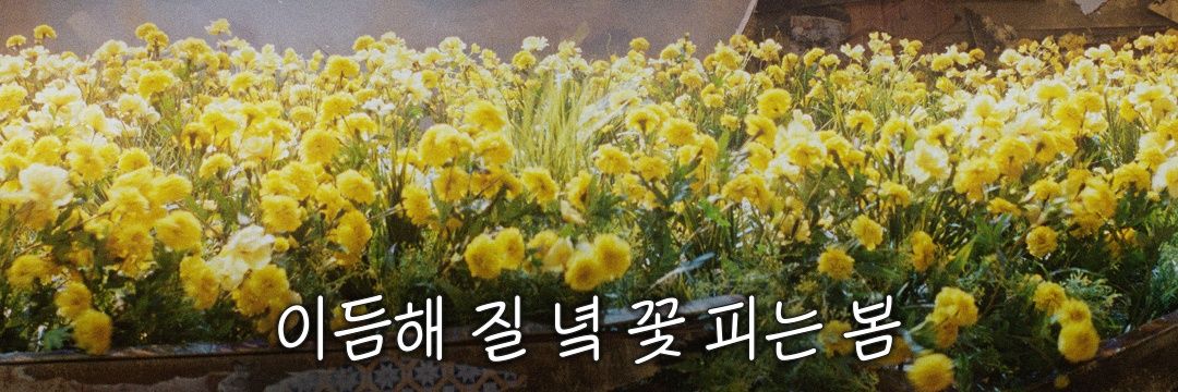 Yozz9822's profile banner image