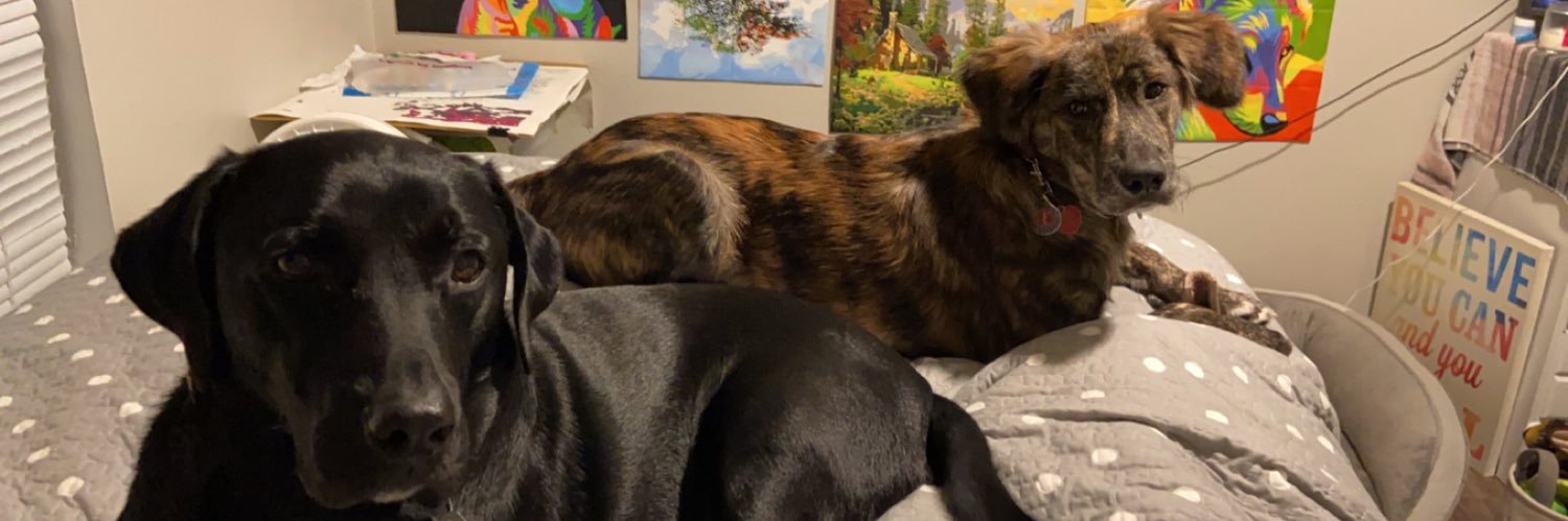MadisonArnt's profile banner image