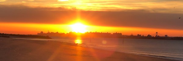 AcereEleanor Profile Banner