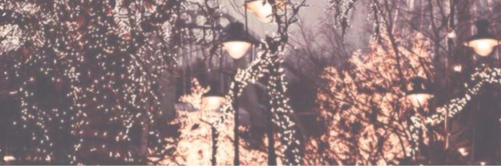 srslyenja's profile banner image
