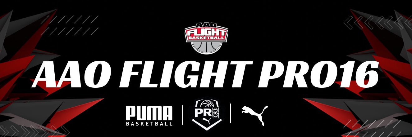 AAO Flight - PRO16's banner
