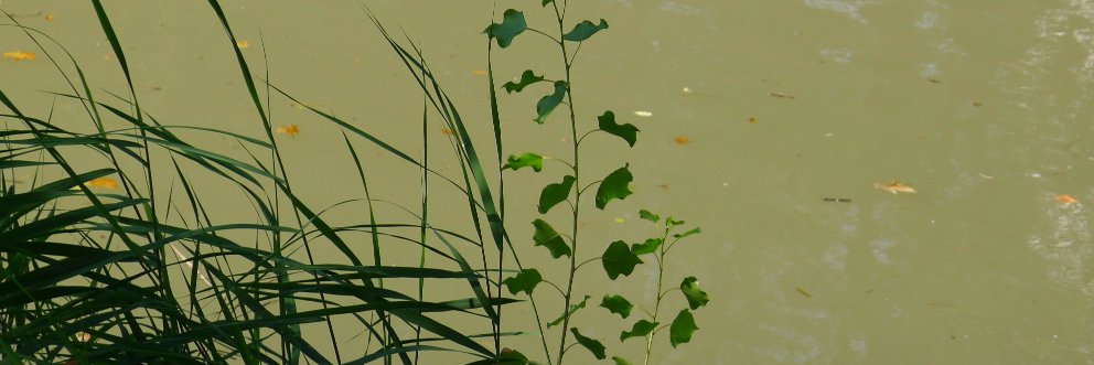 luisuruena's profile banner image