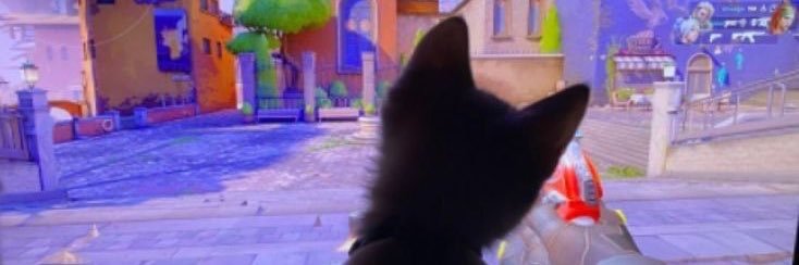 htplaurens's profile banner image