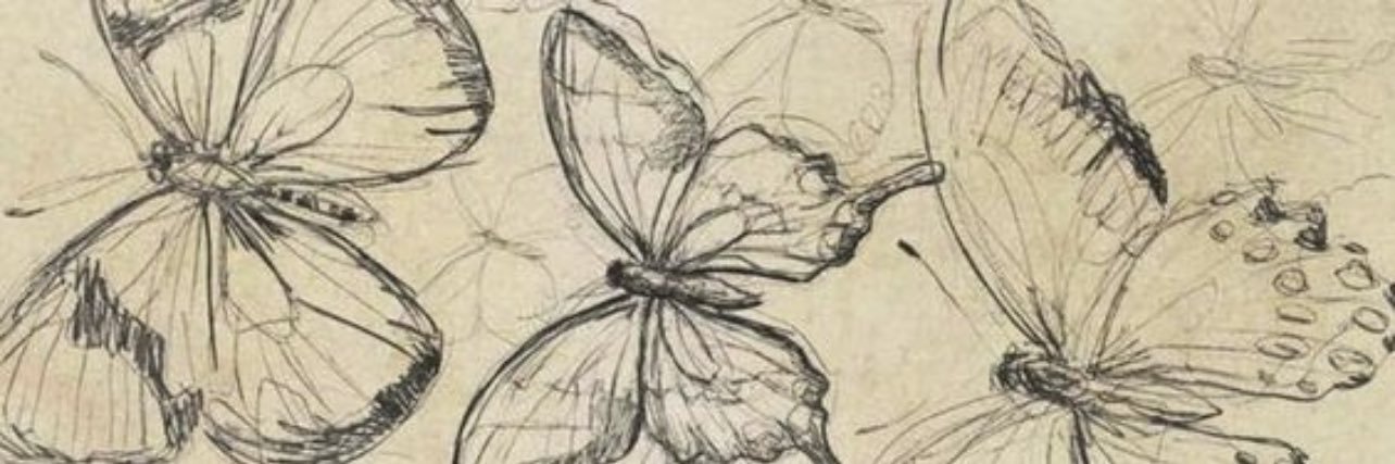 DestanieCarpent's profile banner image