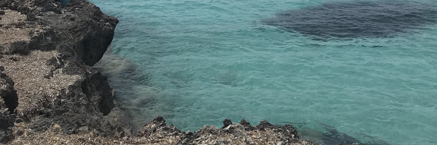 Didiiiine__'s profile banner image