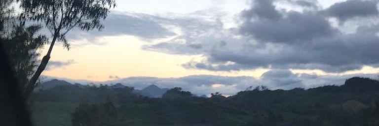 Amairanoo's profile banner image