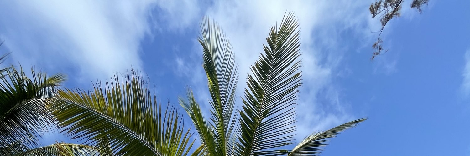 thomasbibb's profile banner image