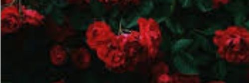 maribelql_99's profile banner image