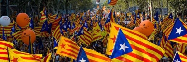 Intersindical Camp de Tarragona i Terres de l'Ebre banner