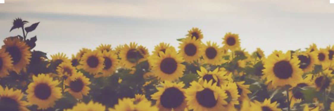 paradisestyIess's profile banner image