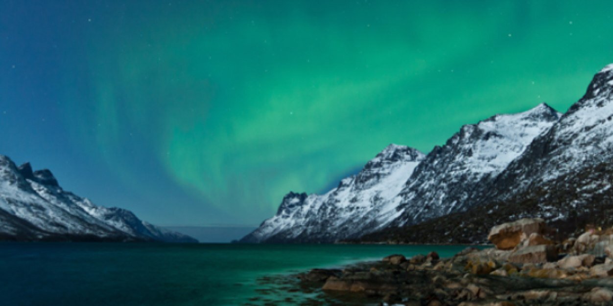 ConveyNSW's profile banner image