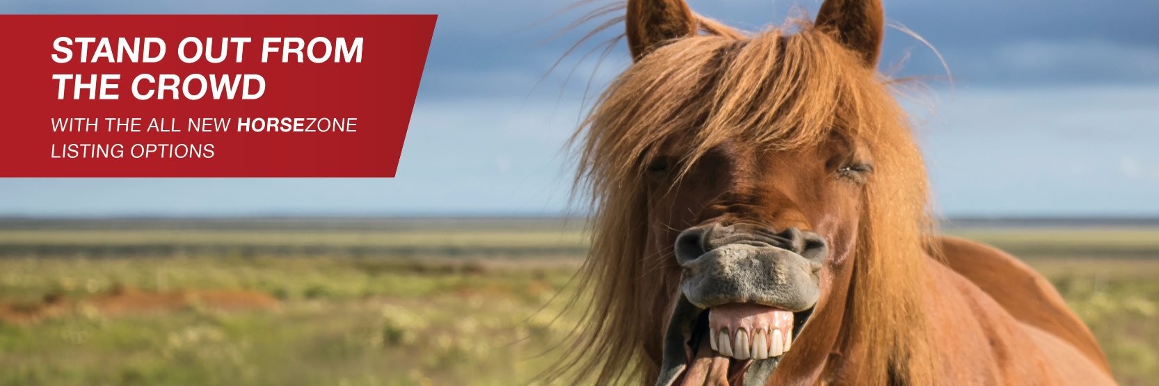 horsezone's profile banner image