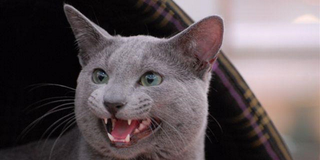 Sobbertson's profile banner image