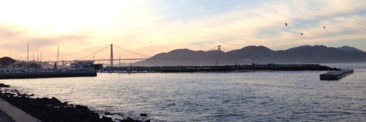 cindytieu's profile banner image