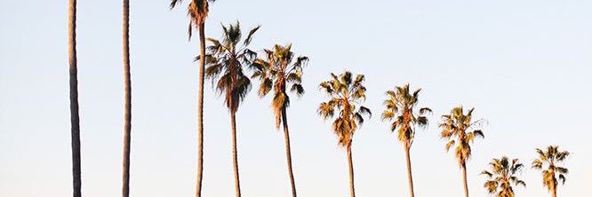 caseyysnyderr's profile banner image