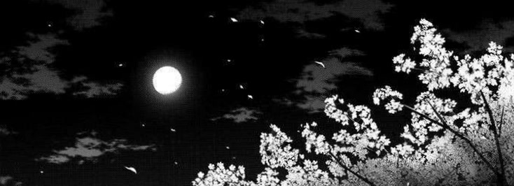 pixielunaaa98's profile banner image
