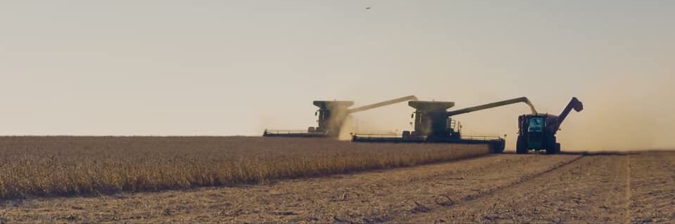 🌽Al Koenigs 🌽 banner