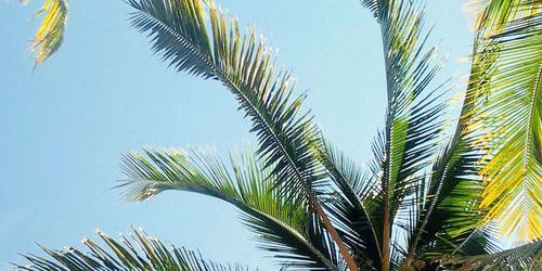 lanita089's profile banner image