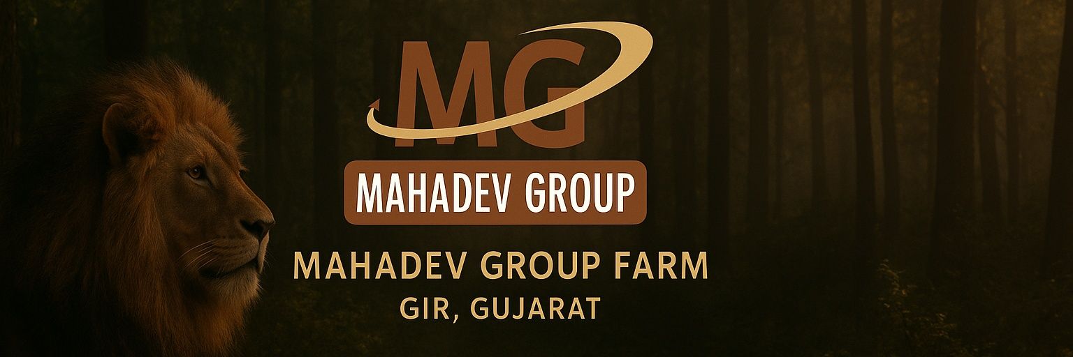 mahadevgroup_'s profile banner image