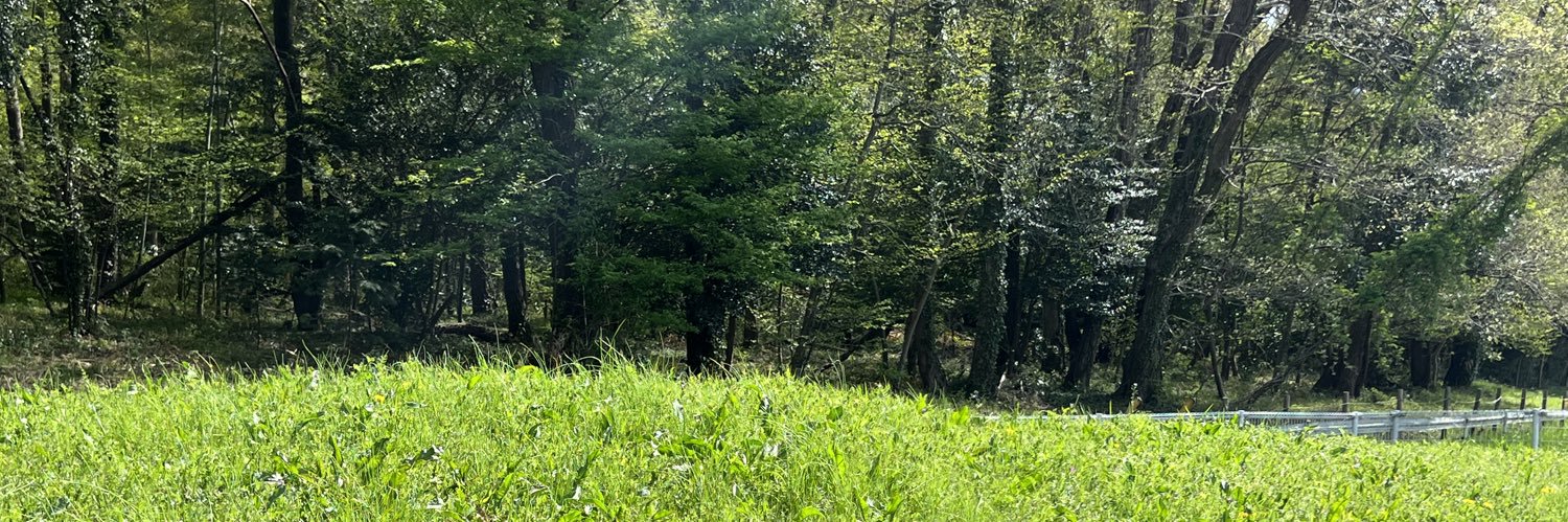 llrainbowdropll's profile banner image