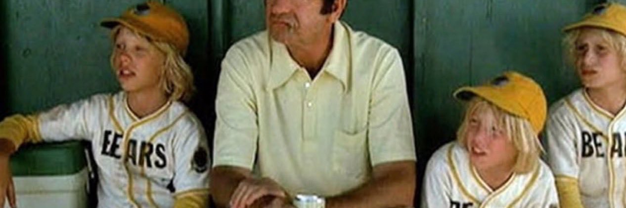 WrigleyFieldVol banner